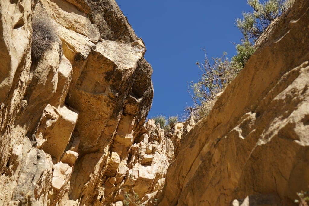 Petroglyphs ng Utah Sego Canyon 3 Naghahanap ng mga petroglyph sa Sego Canyon Utah
