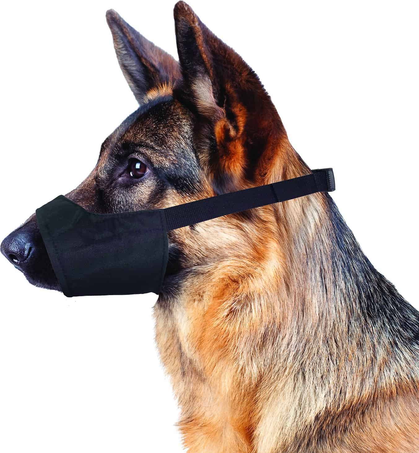 Does a muzzle help with barking sale