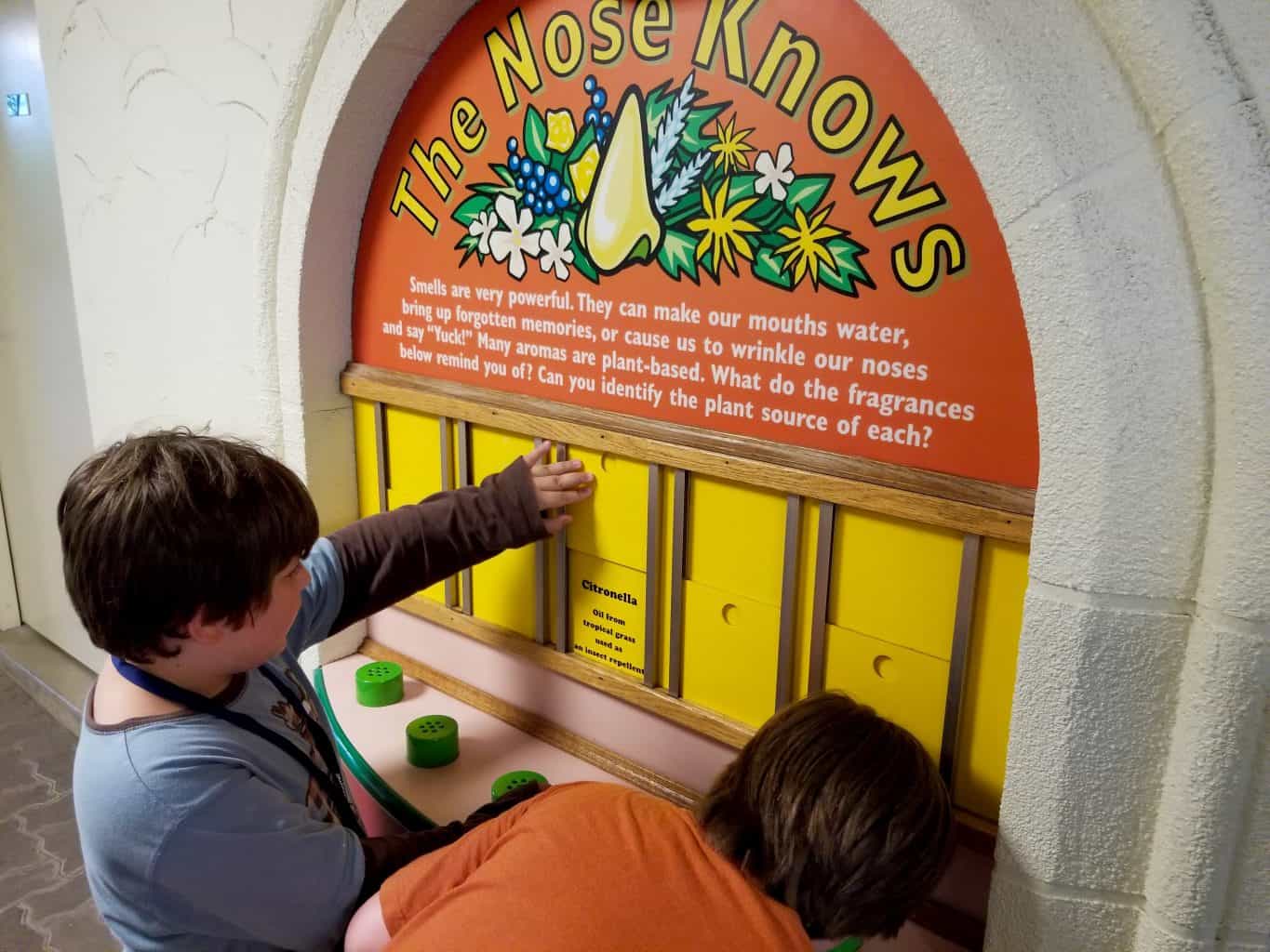Insanely Fun Learning Adventures at the Botanical Garden for All Ages in Fort Wayne, Indiana