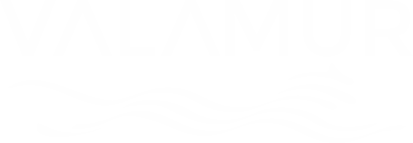 LOGO VALAMUR BLANCO