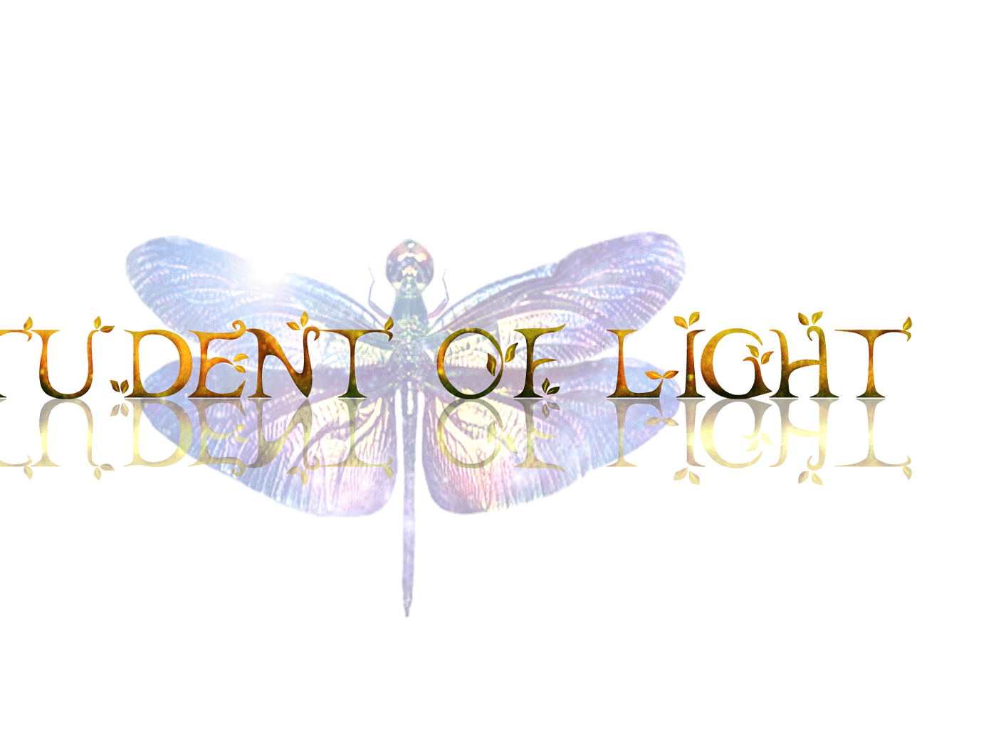 Student Of Light