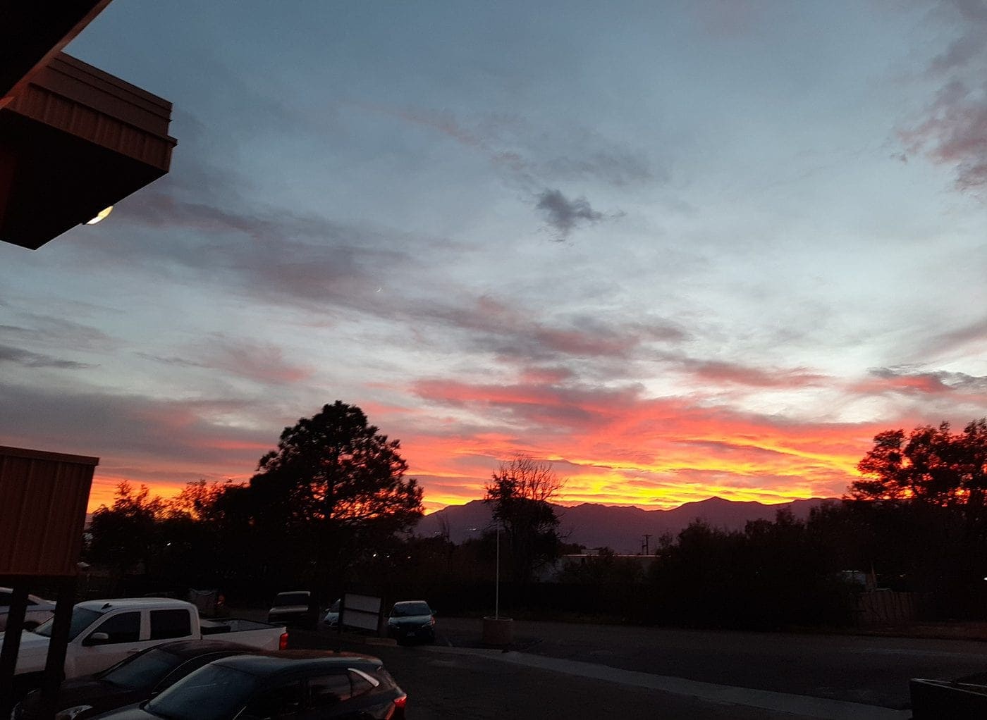 Breana Walters/Juniper Bloom Mystique