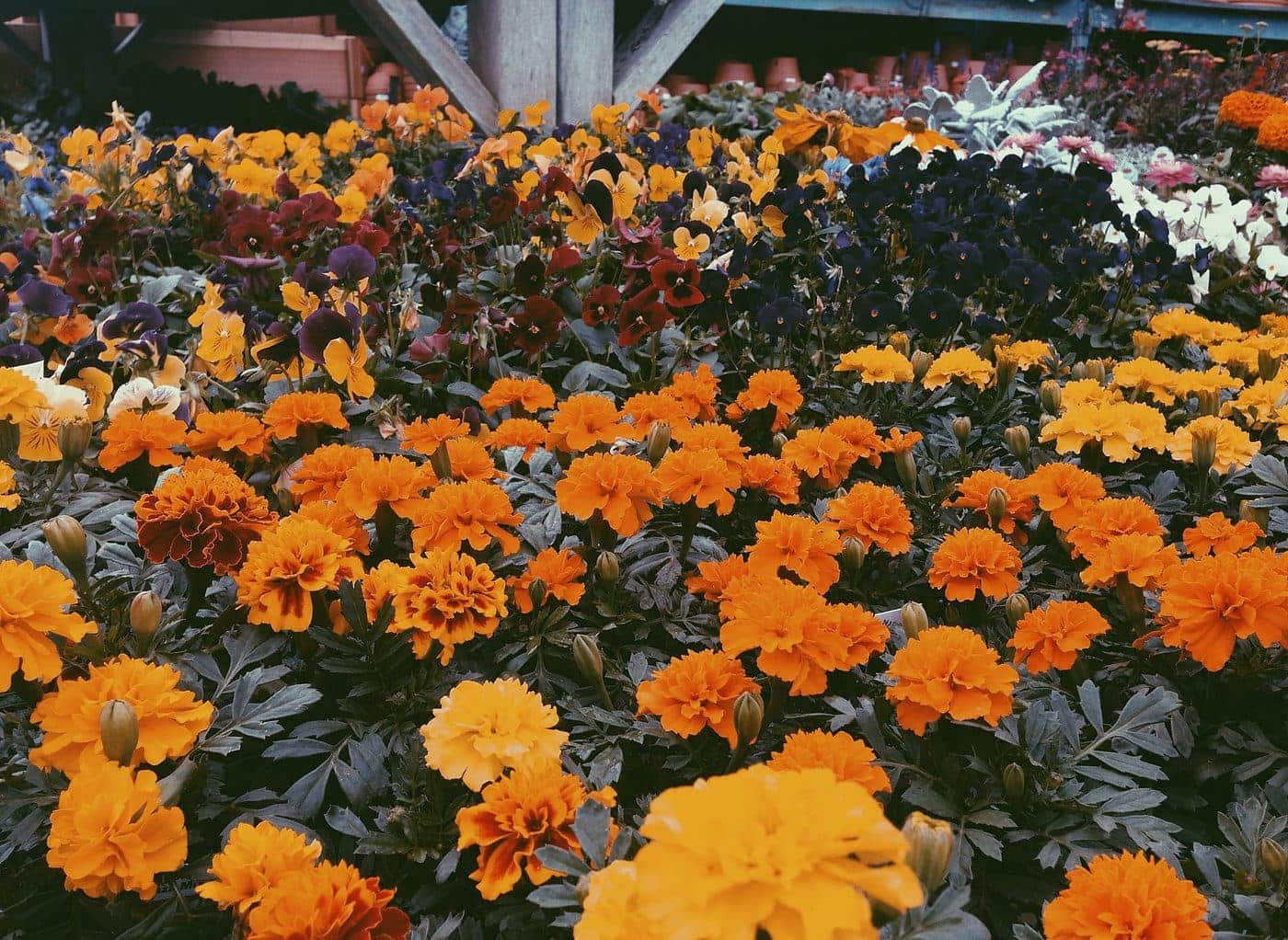 MeganBeenThinkin ASMR