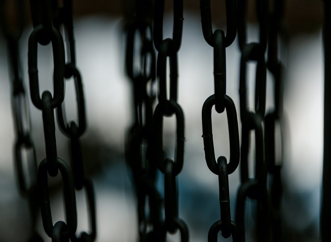 The Disc Golf Photographer