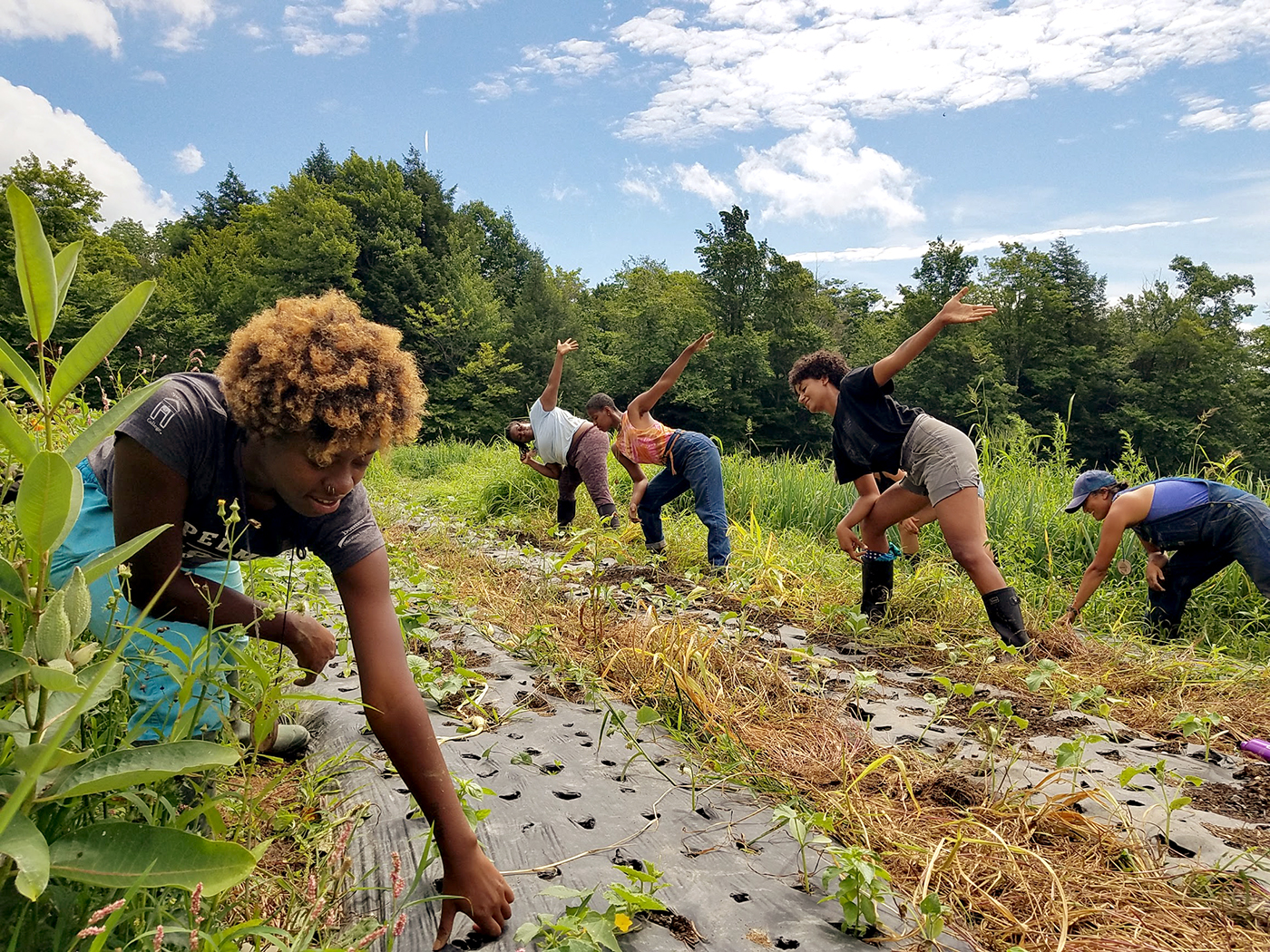 Dance moves teach the process of weeding.