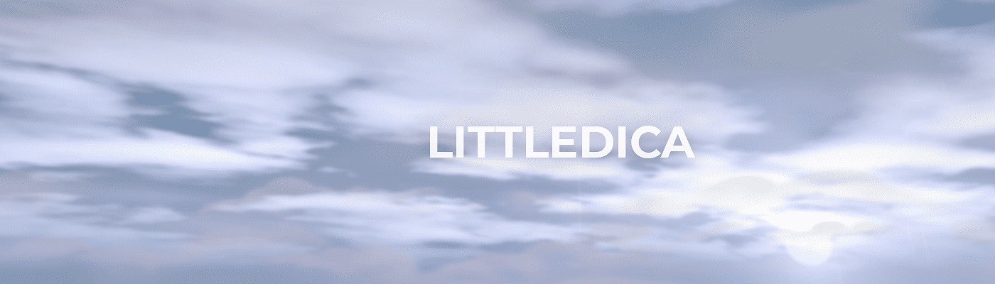 littledica