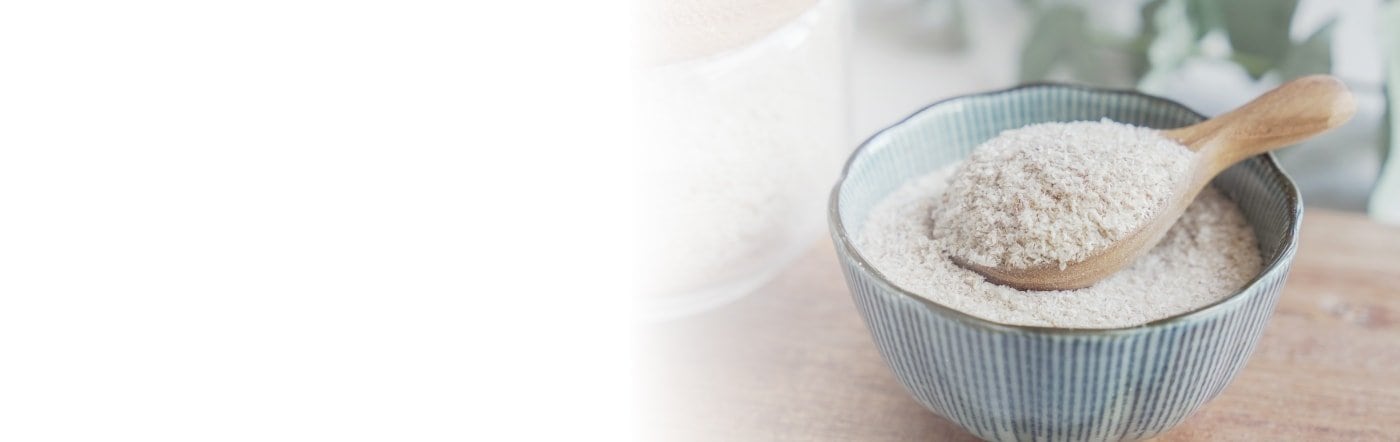 Digestive Health Digestive Health