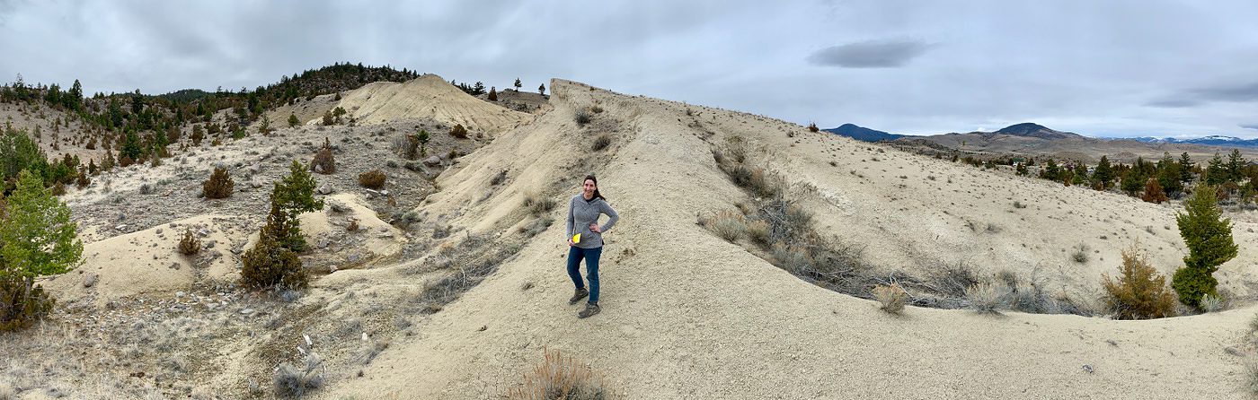 Mary Anning's Revenge