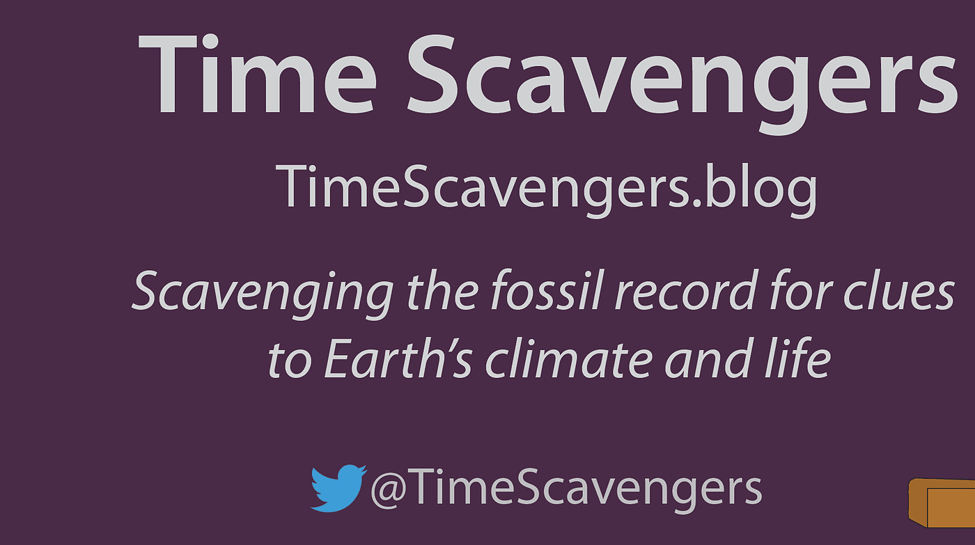 Time Scavengers