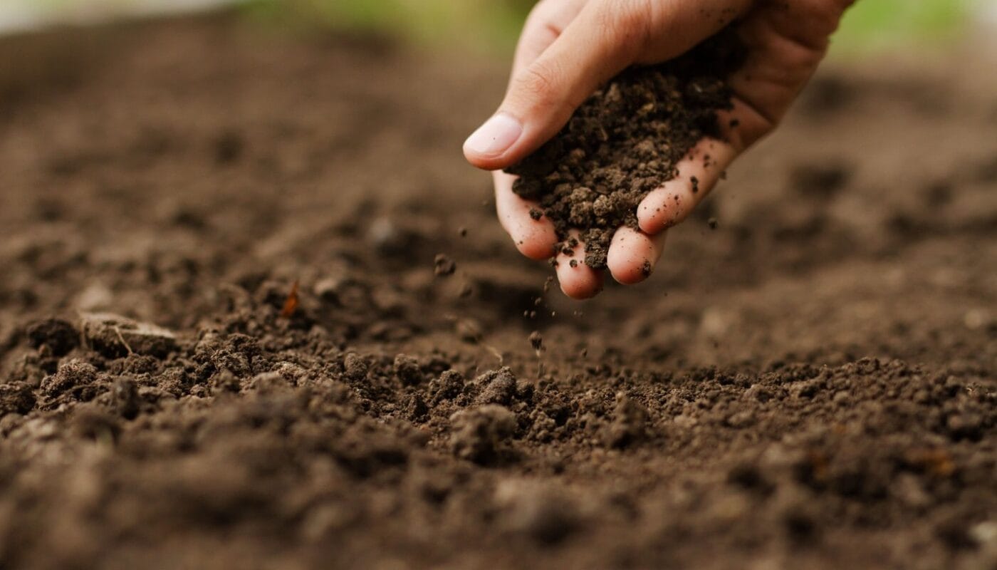 Eric Denfeld Weeds Are Telling You Something