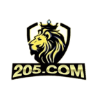 205 logo