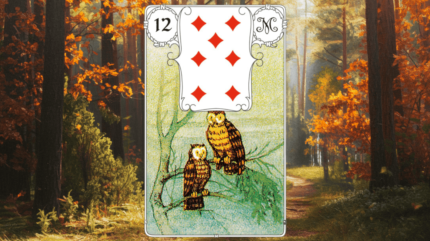 Lenormand Eule Karte 12: Deutung & Bedeutung in Liebe, Beruf, Gesundheit, Selbstfindung. Mit wertvollen FAQs!