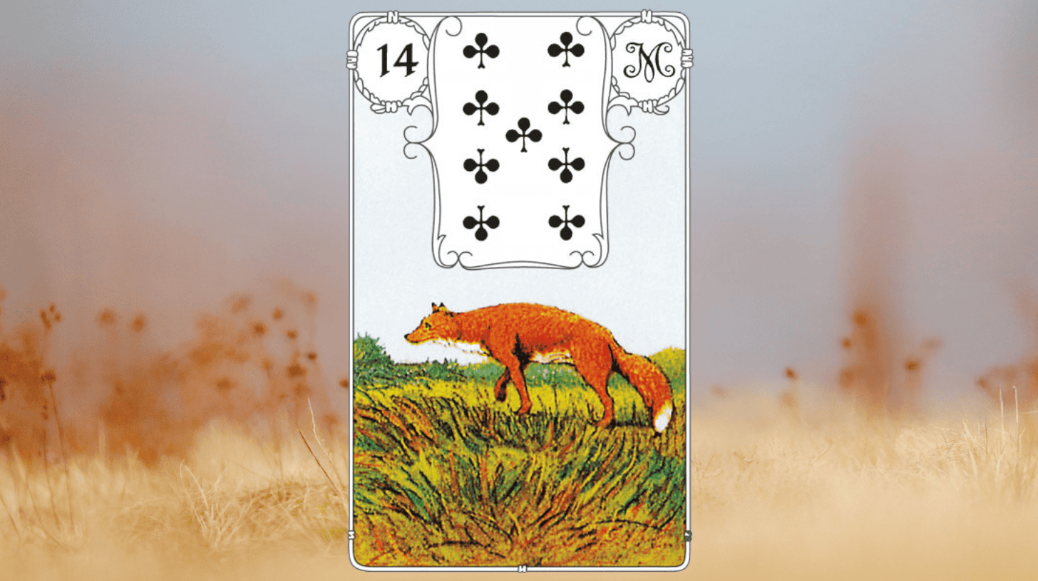Bedeutung Fuchs Lenormand