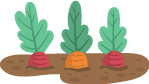 Ilustración de unas zanahorias en la tierra