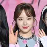 Sengketa Fifty Fifty