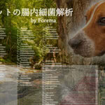 マイクロバイオーム解析