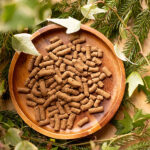 猪肉のドッグフード Forema Basis