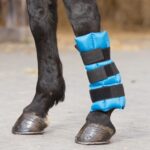 kamašna za hlađenje tetiva i ligamenata nogu konja