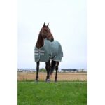 Ćebe za padok TYREX 600D - zimsko EQUITHÈME zelena 2