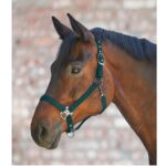 Ular Gloomy Waldhausen