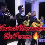 Este Grupo De Mariachis En Pereira Da Serenatas En Toda La Ciudad.