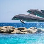 Ezotéria, Mik is a Feng Shui kellékei ? Minden Nap Alap