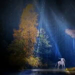 Agyar, Ajándék, Akácfa Minden Nap Alap