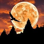 Cseresznye, Csiga, Csillag. Minden Nap Alap