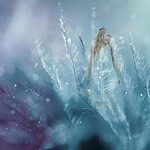 Cápa, Cica, Cipő, Cukor. Minden Nap Alap