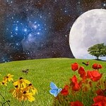 Az álmok üzenete 43. Gombostű, Göncölszekér, Gumibot Minden Nap Alap