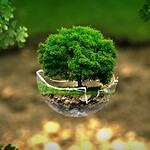 Élet a Földön: Csokor az élet dolgairól I Minden Nap Alap