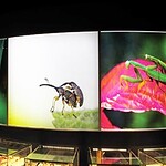 Biodôme Montreal Canada