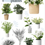 Home Decor Finds // Faux Plants