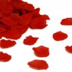 Hechizos para que te pida matrimonio con el poder mágico de las plantas