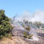 AYDIN'IN ÇİNE İLÇESİNDE ZİRAİ ALANDA BAŞLAYAN YANGINA EKİPLERİN HAVADAN VE KARADAN MÜDAHALESİ SÜRÜYOR.