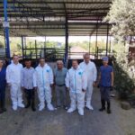 AYDIN’DA BÜYÜKBAŞ HAYVANLARIN TAMAMININ AŞILANMASININ HEDEFLENDİĞİ SONBAHAR ŞAP AŞI KAMPANYASI BAŞLARKEN, ÇALIŞMALAR 13 KASIM’A KADAR DEVAM EDECEK.