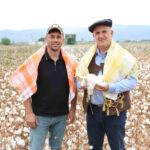 İNCİRLİOVA’DA PAMUK HASADI BAŞLADI