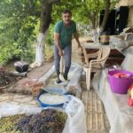 AYDIN’DA GÜZ DÖNEMİ BAŞLAMASIYLA BİRLİKTE ÜZÜMLER SIKILIP ŞIRALARI KAYNATILMAYA BAŞLADI. FABRİKALARDA SON TEKNOLOJİ İLE ÜRETİLEN PEKMEZLER ESKİ TADI VERMEZKEN İMKANI OLAN PEK ÇOK KİŞİ KENDİ YİYECEĞİ PEKMEZİ KENDİSİ YAPMAYA ÇALIŞIYOR.