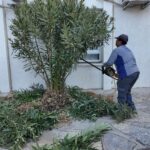 BODRUM BELEDİYESİNDEN OKULLARA BAKIM VE ONARIM DESTEĞİ