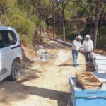 BOZDOĞAN’DA ARICILIK FAALİYETLERİNİN DESTEKLENMESİ AMACIYLA ARILI KOVAN DESTEĞİ KAPSAMINDA ÜRETİCİLERE YÖNELİK TESPİT VE GÜNCELLEME ÇALIŞMALARI DEVAM EDİYOR.