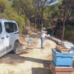 BOZDOĞAN’DA ARICILIK FAALİYETLERİNİN DESTEKLENMESİ AMACIYLA ARILI KOVAN DESTEĞİ KAPSAMINDA ÜRETİCİLERE YÖNELİK TESPİT VE GÜNCELLEME ÇALIŞMALARI DEVAM EDİYOR.