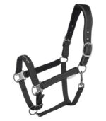 Ular Athletic crna