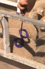 Boja za potapajuće brojeve za ovce - Слика 2