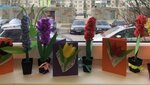 Pavasara_ziedi