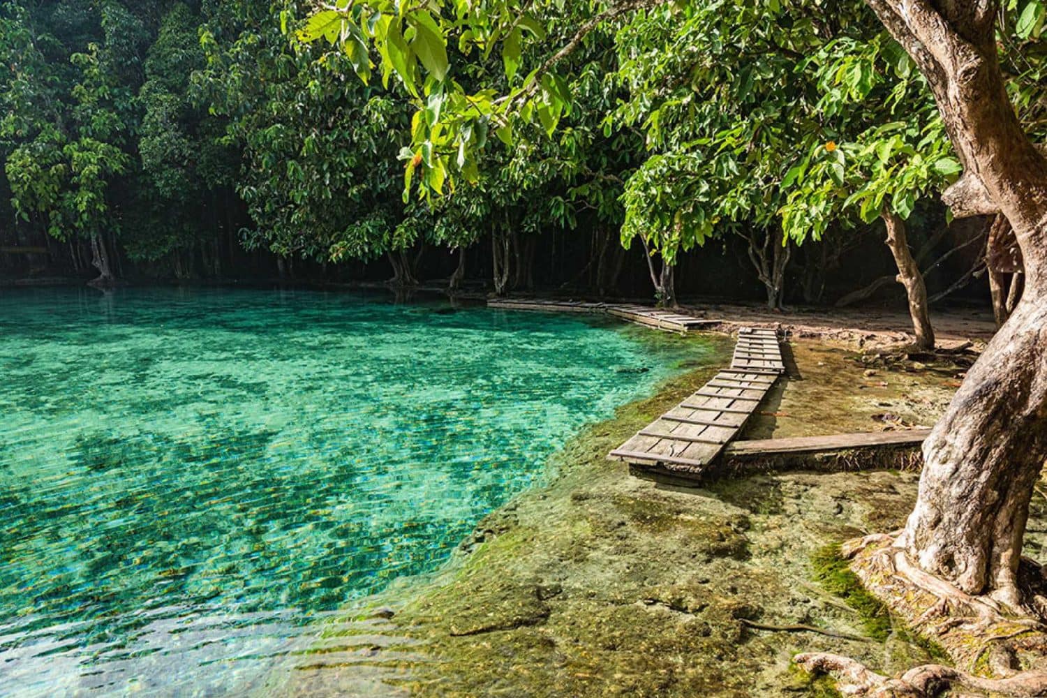 Emerald Pool Krabi