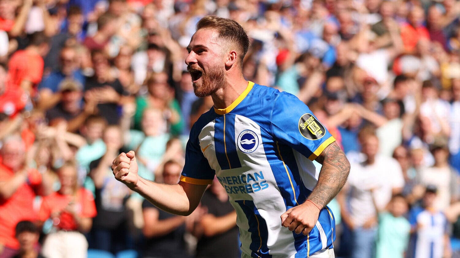 Alexis Mac Allister to Liverpool Transfer Fee, Contract & More