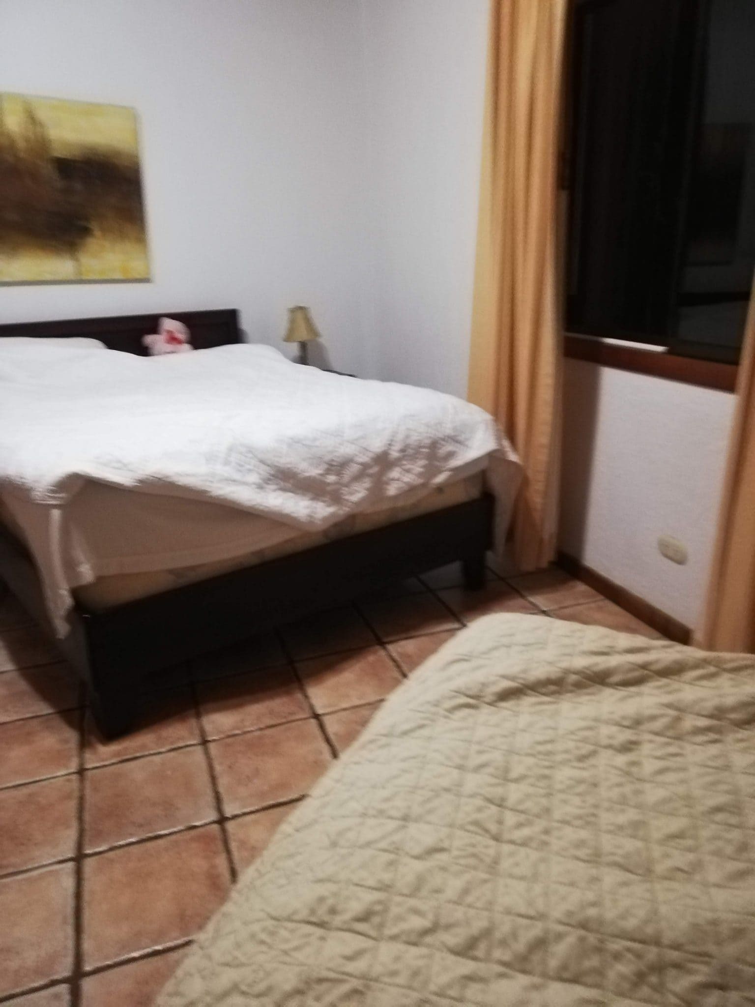 4 Family Friendly Nights in Manuel Antonio 8