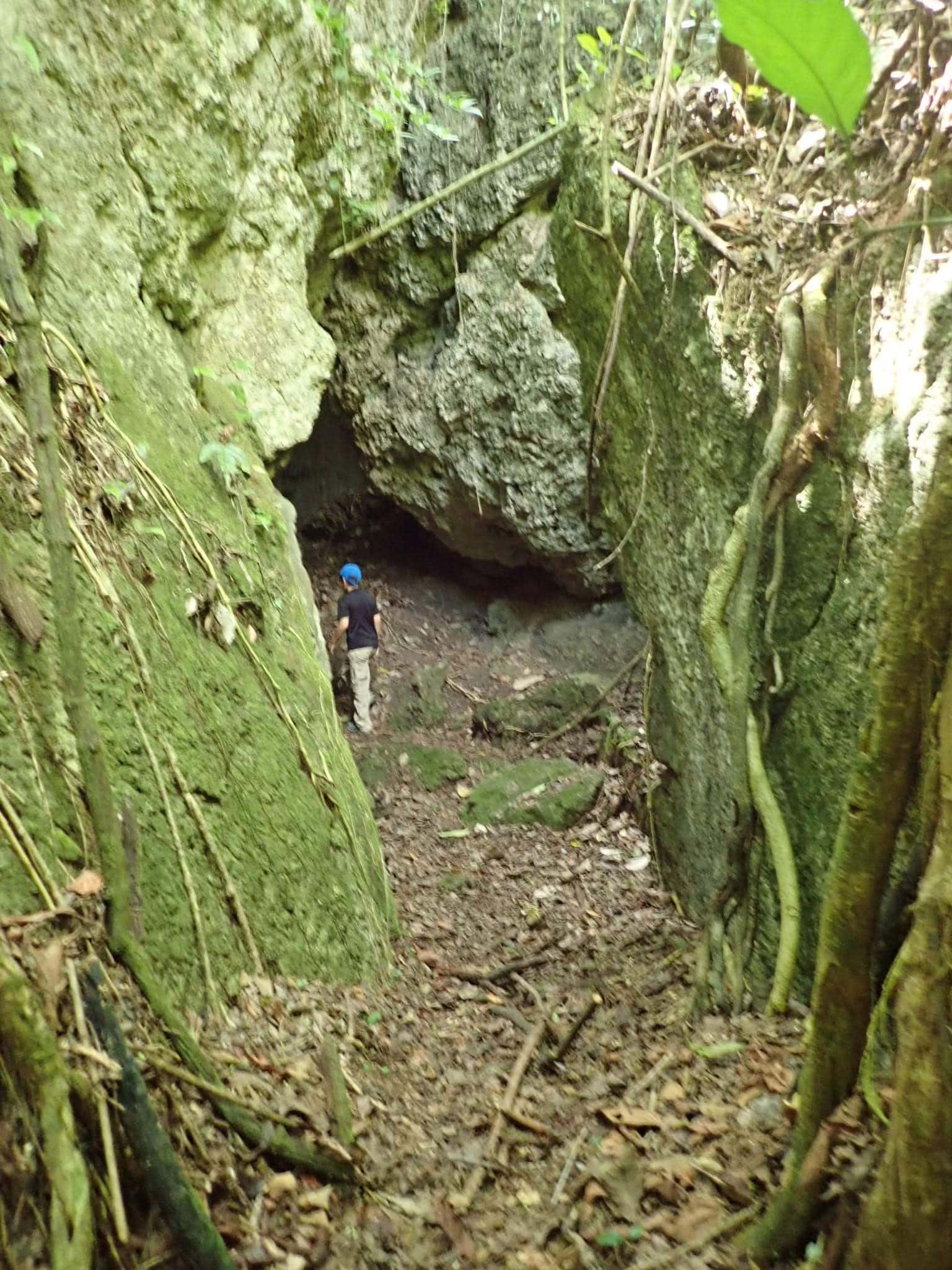 Finca Ixobel: A Paradise in Poptun, Guatemala 15