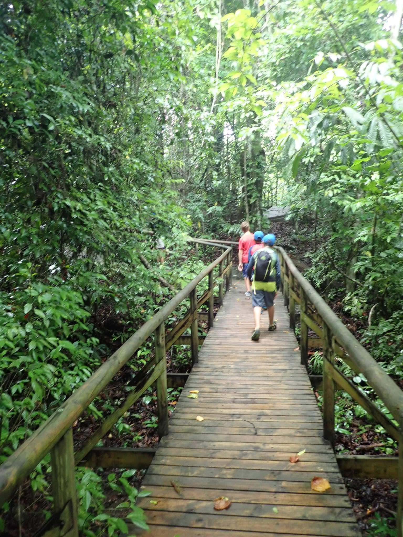 4 Family Friendly Nights in Manuel Antonio 12