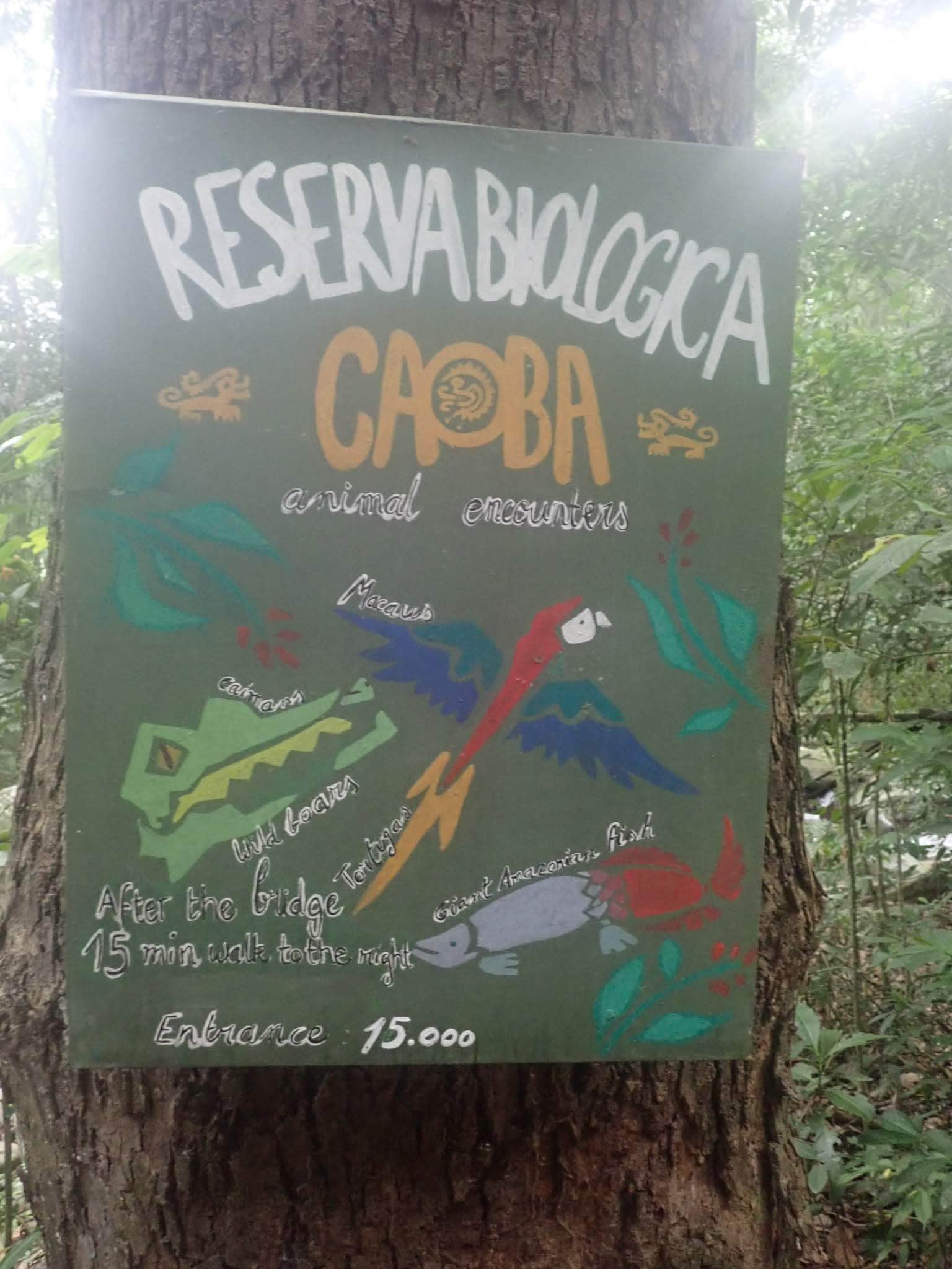 Our Marvelous stay in Bonda, Colombia 20